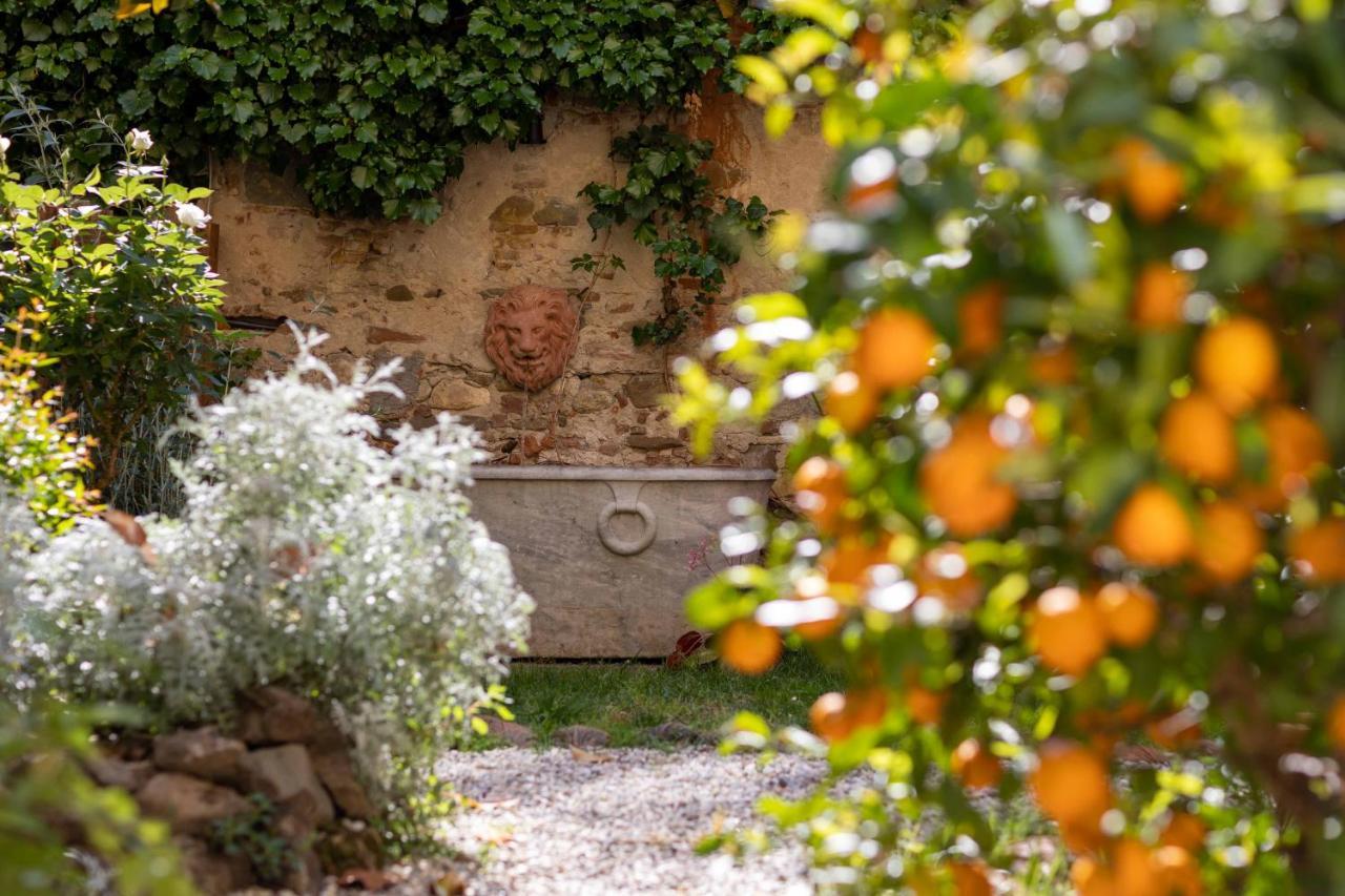 Secret Garden Firenze B&B Kültér fotó